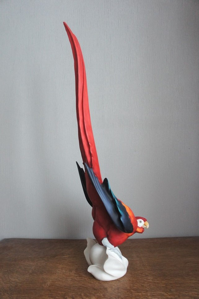 Tropical Red попугай, Giuseppe Armani, купить