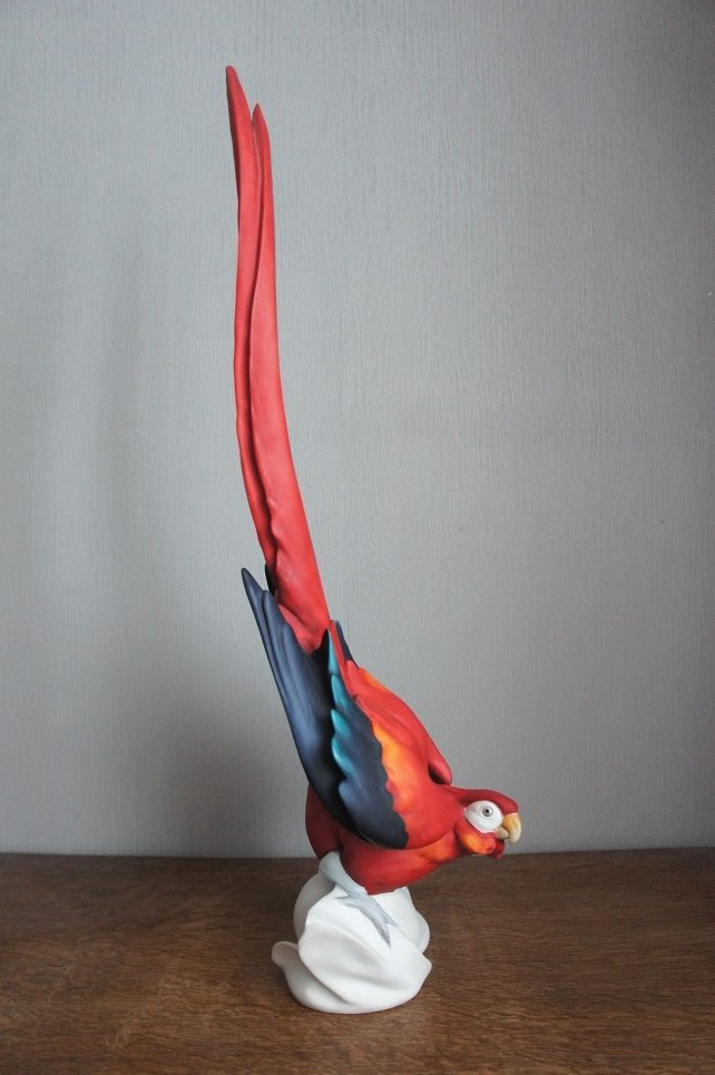 Tropical Red попугай, Джузеппе Армани, купить