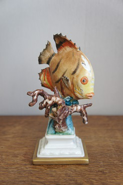 Рыбка в коралле, Franco, Каподимонте, фарфоровые статуэтки. KunstGalerie